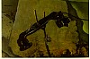 DALI028.jpg