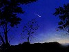 bedrick080.gif