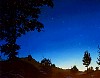 bedrick081.gif