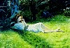 bedrick119.gif