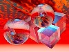 computer016.jpg