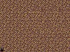 computer138.jpg