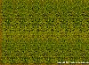 computer143.gif