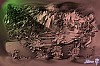 computer195.jpg