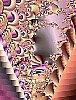 computer450.jpg