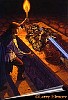 elmore126.jpg