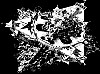 escher003.gif