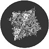 escher004.gif