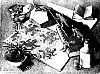escher005.gif