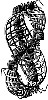escher024.jpg
