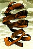 escher028.jpg