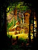 hildebrandt014.jpg