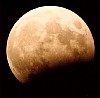 photo007.gif
